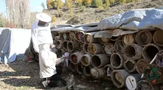 Bitlis'te Karakovan Balı Hasadı Başladı