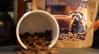 Dünyanın En Pahalı Kahvesi 'Kopi Luwak' Sakarya'da Satışa Sunuldu