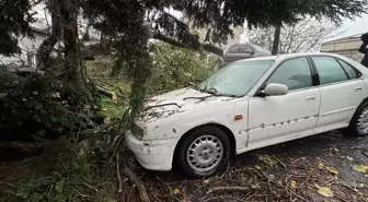 İstanbul'da sağanak ve rüzgar etkili oluyor