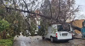 Turgutlu'da Kuvvetli Rüzgar ve Sağanak Hayatı Olumsuz Etkiledi