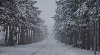 Tokat'ta Kar Yağışı Devam Ediyor: Yol Kapanmaları Yaşanıyor