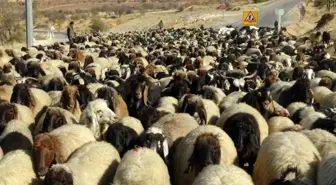 Gercüş'ten Nusaybin'e Zorlu Göç Yolculuğu