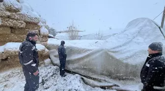 Çankırı'da Kar Yağışı Nedeniyle Büyükbaş Hayvan Çadırı Çöktü