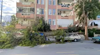 Mersin Silifke'de Fırtına Ağaçları Devrip Camları Kırdı