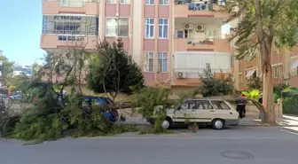 Mersin'de Şiddetli Rüzgar, İşçilerin Hayatını Kaybetmesine Neden Oldu