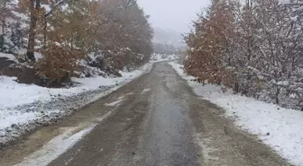 Bilecik'in Yüksek Kesimlerinde Kar Yağışı Etkili Oldu