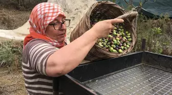 Para var ama çalışan yok: Günlük 3 bin TL maaşla işçi aranıyor