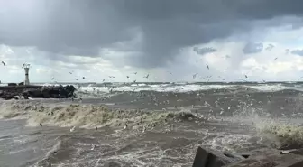 Kocaali'de Olumsuz Hava Koşulları Balıkçıları Vurdu