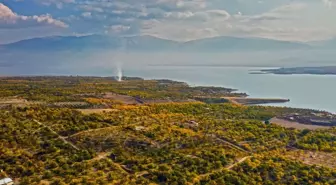 Elazığ'da Sonbahar Güzellikleri Kayısı Bahçelerinde Yaşanıyor