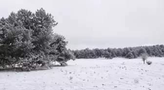 Turgutlu'da Kar Yağışı Etkili Oldu