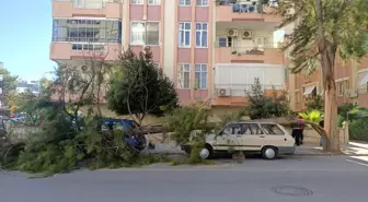 Akkuyu Nükleer Güç Santrali'nde Fırtına Nedeniyle Çalışmalara Kısıtlama Getirildi