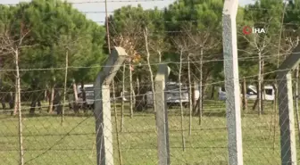 Büyükçekmece'de Kan Donduran Cinayetler: Cenazeler Adli Tıp Kurumu'na Kaldırıldı