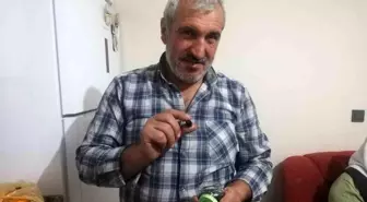 Malatyalı Çiftçi Zeytin Hasadıyla Mutluluğu Yaşadı