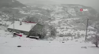 Posof'ta Kar Yağışı, İlçe Beyaza Büründü