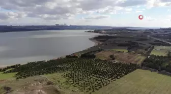 İstanbul'da Aile Katliamı: Detaylar Ortaya Çıkıyor