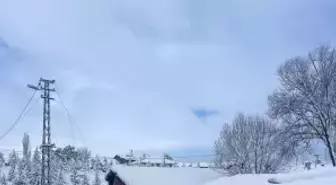 Tokat'ta Tır Şarampole Devrildi: Sürücü Yaralandı