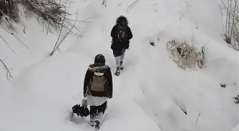 Tunceli okullar tatil mi? 26 Kasım Salı Tunceli'de okul yok mu (Valilik Açıklaması)?