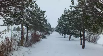 Ulaş Gölü, Kar Yağışının Ardından Beyaza Büründü