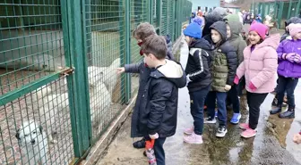 Öğrenciler Sokak Hayvanları için İyilik Projesi Gerçekleştirdi