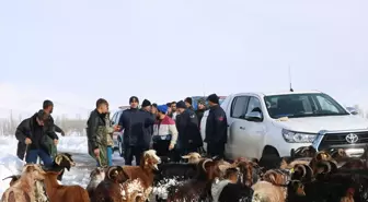 Bayburt'ta Kaybolan Küçükbaş Hayvanlar Dronla Bulundu