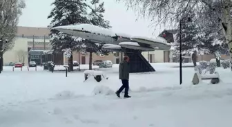 Erzurum'da Yoğun Kar Yağışı Hayatı Olumsuz Etkiliyor