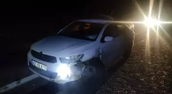 Kütahya'da Yola Fırlayan Domuz Trafik Kazasına Yol Açtı