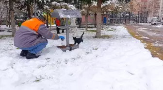 Melikgazi Belediyesi, Kış Şartlarında Sahipsiz Hayvanlara Yem Bıraktı