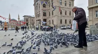 Emekli Öğretmenden Kuşlara İyilik