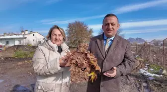 Turhal'da Dökülen Yapraklardan Torf Üretimi Projesi