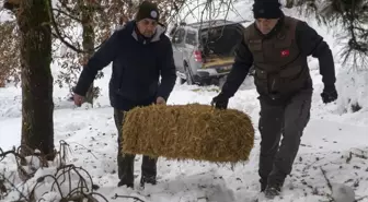 Bolu'da Yılkı Atları İçin Yem Bırakıldı