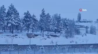 Erzurum'da Yoğun Kar Yağışı Hayatı Felç Etti