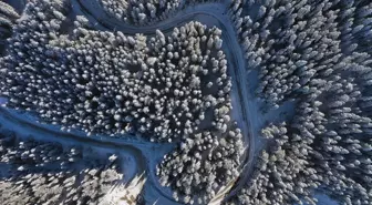 Ilgaz Dağı'nda Kar Yağışı Sonrası Güneşli Manzara