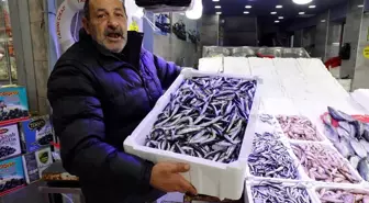 Samsun'da Hamsi Fiyatları 100 Liraya Düşerken Talep Artıyor