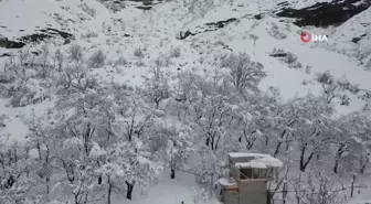 Uzundere'de Çığ Faciası: 350 Koyun Uçurumdan Düştü