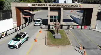 Gaziantep'te 800 Kilogram Zeytin Hırsızlığına Üç Gözaltı