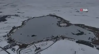 Hafik Gölü'nde Buzlu Manzara ve Sakarmeke Kuşları