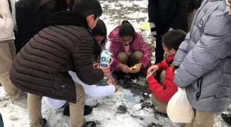 Öğrencilerden Yaban Hayvanlara Destek Projesi