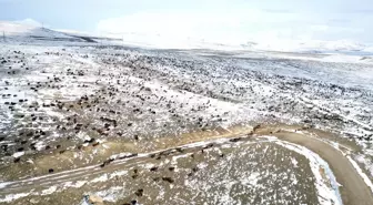 Ağrı'nın Yaylalarında Erken Kar, Çobanlar Dönüş Yolunda