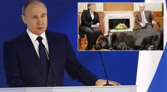 Putin'den Merkel'e 17 yıl sonra 'köpek özrü' geldi