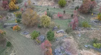 Şırnak'ta Doğanın Güz Renkleri Dronla Görüntülendi