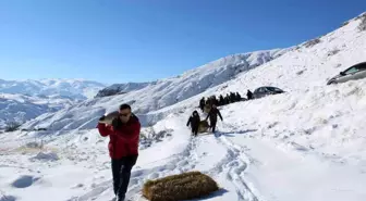 Tortum'da Yaban Hayvanları İçin Kış Yiyecek Bırakıldı