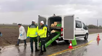 Muğla'da Şüpheli Ölüm: Erkek Cesedi Bulundu