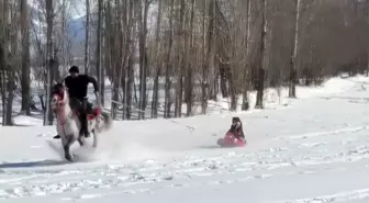 Bayburt'ta Amca, Yeğenlerine Atlı Kızak Keyfi Yaşattı