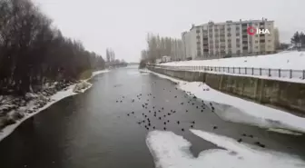 Bayburt'ta Çoruh Nehri Kısmi Buz Tuttu