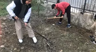 Öğrenciler Patates Tohumu Ekti: Sağlıklı Beslenme Projesi Uygulandı