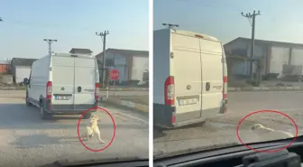 Köpeği minibüsün arkasına iple bağlayıp çekti