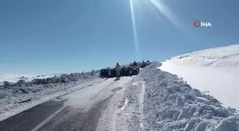 Muş'ta Erken Yağan Kar 2 Bin Koyunun Mahsur Kalmasına Neden Oldu