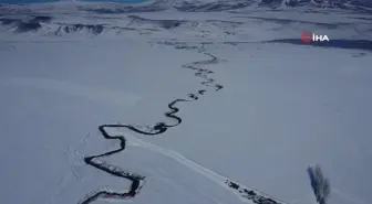 Özalp'te Kırağıyla Kaplı Ağaçlar ve Menderes Manzarası