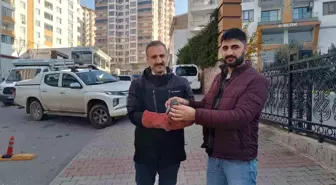 Batman'da Yaralı Yaban Güvercini Kurtarıldı