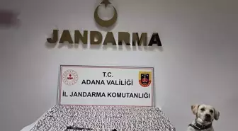 Adana'da 8 Bin 523 Uyuşturucu Hap Ele Geçirildi